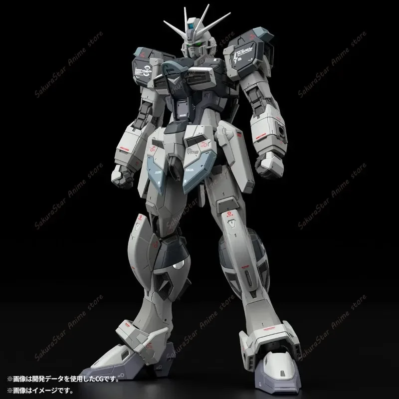 【In stock】Bandai PB Limited RG - Bandai Model Gundam Rg ulasan dan harga